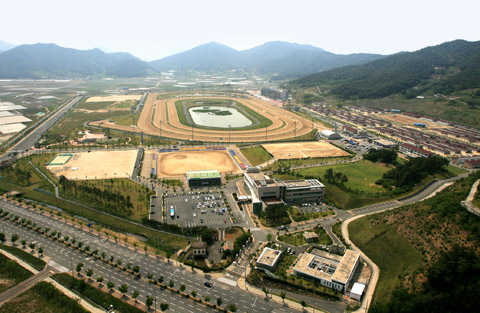 horse racing park